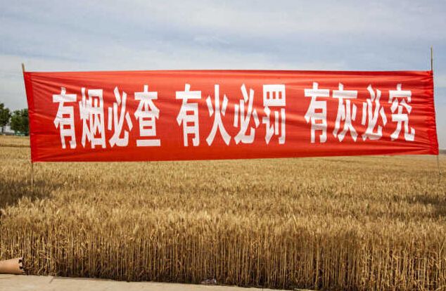 黑龍江秸稈利用，小秸稈變成大生意