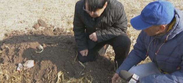 黑龍江秸稈利用，小秸稈變成大生意