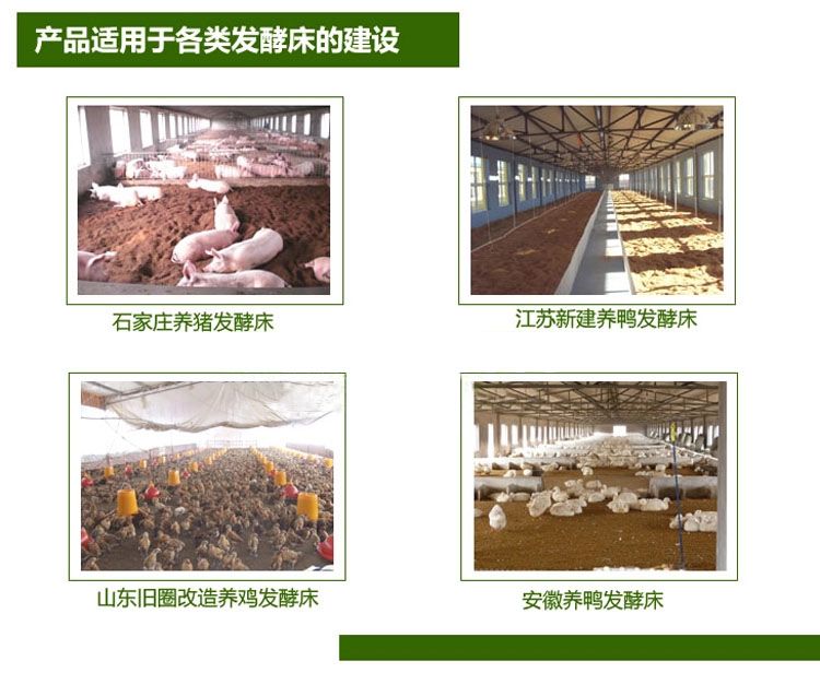 專家解答：發(fā)酵床養(yǎng)豬與水泥地養(yǎng)豬哪個(gè)省工？