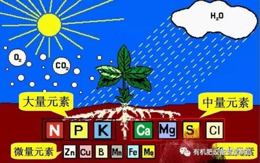 河北有機(jī)肥發(fā)酵_禽糞發(fā)酵不徹底的危害_家畜農(nóng)家肥