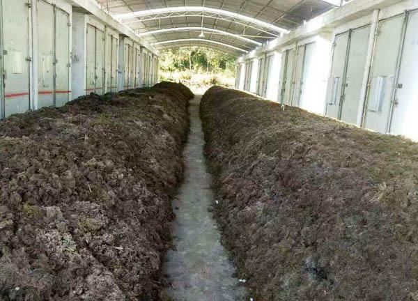 生物有機(jī)肥物料堆放在發(fā)酵棚發(fā)酵 生物有機(jī)肥物料堆放在發(fā)酵棚發(fā)酵
