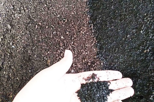 在施用菌肥時有哪些常見的預(yù)防措施？