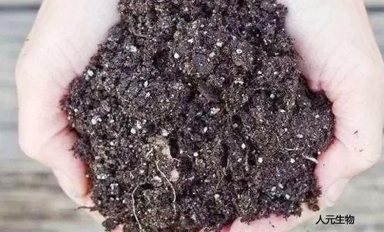 使用土壤調(diào)理劑時需要注意哪些？
