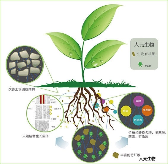 生物有機(jī)肥料好用嗎，都有哪些作用？