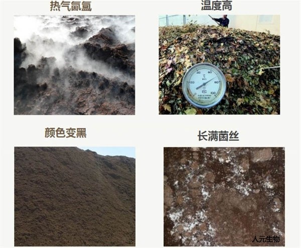 堆肥發(fā)酵制作有機肥的工藝方法
