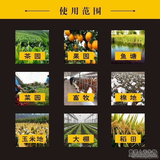 景觀式太陽(yáng)能風(fēng)吸殺蟲燈使用范圍