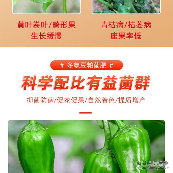 多氨豆粕菌肥系列辣椒專(zhuān)用肥產(chǎn)品特點(diǎn)1